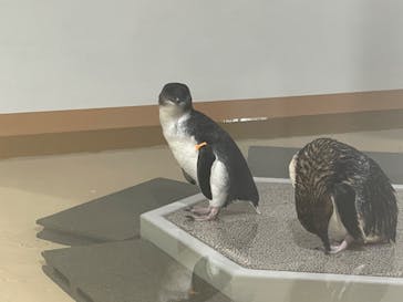 AOAO SAPPOROに投稿された画像（2023/8/5）