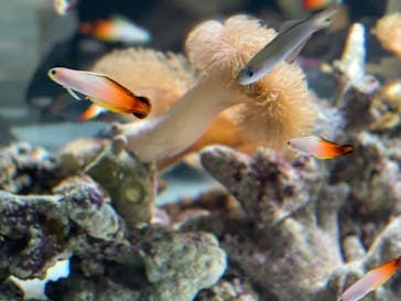 AOAO SAPPOROに投稿された画像（2023/8/5）