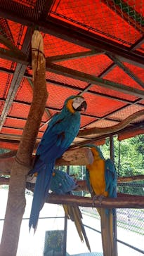 那須ワールドモンキーパークに投稿された画像（2023/8/5）