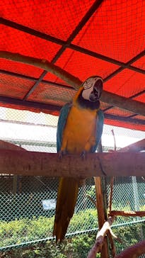 那須ワールドモンキーパークに投稿された画像（2023/8/5）