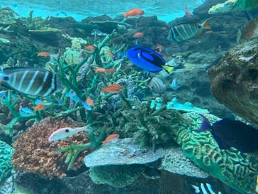 名古屋港水族館に投稿された画像（2023/8/5）