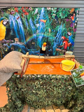 いきもの探検隊上尾に投稿された画像（2023/8/5）