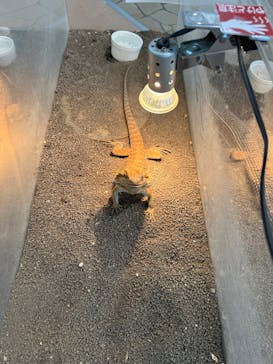 いきもの探検隊上尾に投稿された画像（2023/8/5）