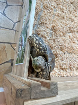 いきもの探検隊上尾に投稿された画像（2023/8/5）