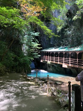 秋芳洞に投稿された画像（2023/8/5）