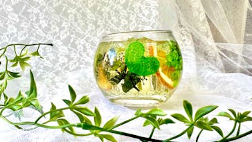 ずこうしつ〜sugamo〜に投稿された画像（2023/8/5）