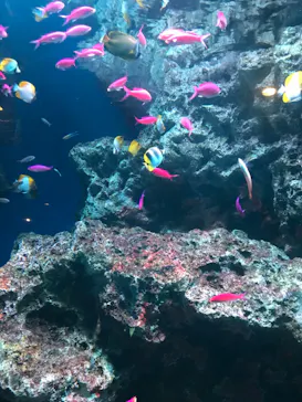 マクセル アクアパーク品川に投稿された画像（2023/8/5）