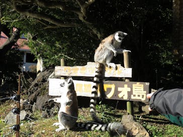 伊豆シャボテン動物公園に投稿された画像（2023/8/5）