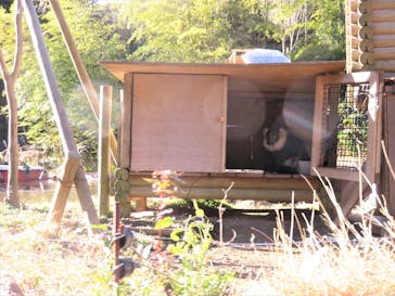 伊豆シャボテン動物公園に投稿された画像（2023/8/5）