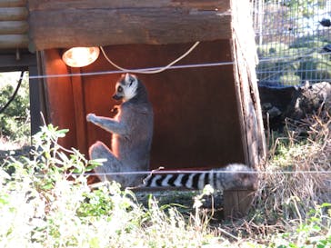 伊豆シャボテン動物公園に投稿された画像（2023/8/5）