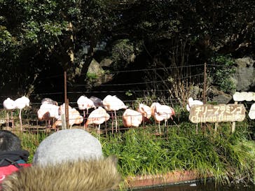 伊豆シャボテン動物公園に投稿された画像（2023/8/5）