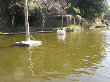 伊豆シャボテン動物公園に投稿された画像（2023/8/5）