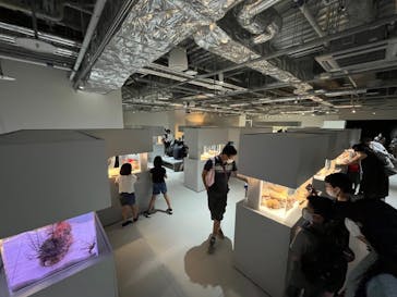 AOAO SAPPOROに投稿された画像（2023/8/5）