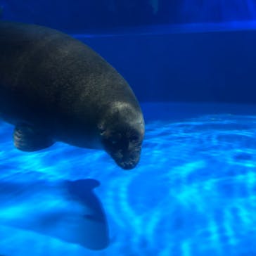 サンシャイン水族館に投稿された画像（2023/8/5）