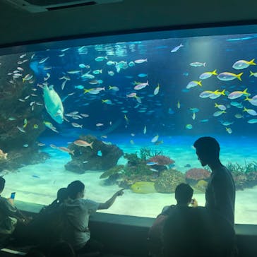 サンシャイン水族館に投稿された画像（2023/8/5）