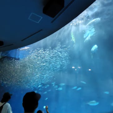 名古屋港水族館に投稿された画像（2023/8/5）