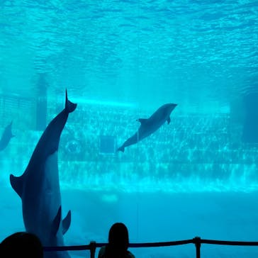 名古屋港水族館に投稿された画像（2023/8/5）