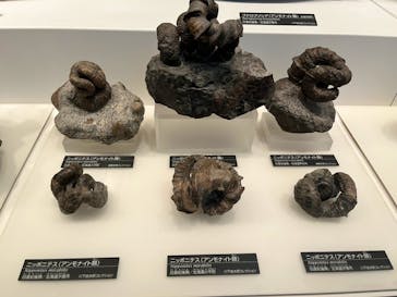 国立科学博物館に投稿された画像（2023/8/5）