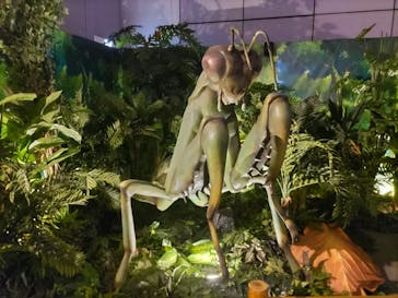 「科学漫画サバイバル」シリーズ 絶体絶命！？キミたちのサバイバルに投稿された画像（2023/8/5）