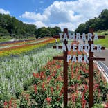 たんばらラベンダーパークに投稿された画像（2023/8/5）