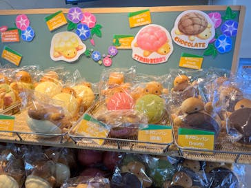 新江ノ島水族館に投稿された画像（2023/8/5）