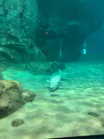 名古屋港水族館に投稿された画像（2023/8/5）