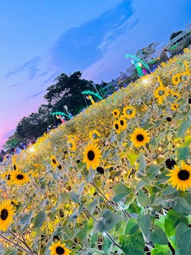 せんだい農業園芸センター　みどりの杜に投稿された画像（2023/8/5）