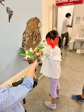 Moff アニマル カフェ イーアス 高尾店に投稿された画像（2023/8/5）