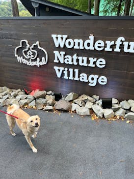 わんダフルネイチャーヴィレッジに投稿された画像（2023/8/5）