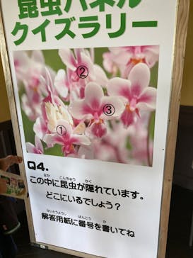 別府ケーブルラクテンチに投稿された画像（2023/8/5）