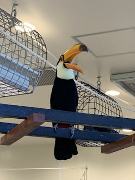 アニタッチみなとみらいに投稿された画像（2023/8/5）