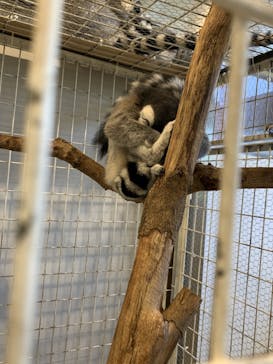 アニタッチみなとみらいに投稿された画像（2023/8/5）