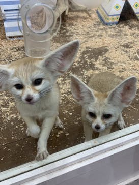 アニタッチみなとみらいに投稿された画像（2023/8/5）