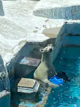 天王寺動物園に投稿された画像（2023/8/5）