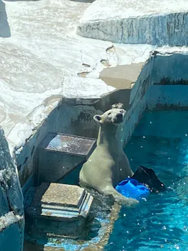 天王寺動物園に投稿された画像（2023/8/5）