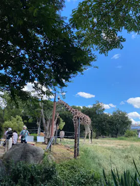 天王寺動物園に投稿された画像（2023/8/5）
