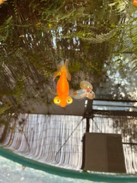 環境水族館アクアマリンふくしまに投稿された画像（2023/8/5）