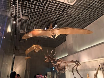 国立科学博物館に投稿された画像（2023/8/5）