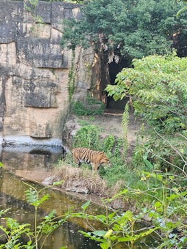 よこはま動物園ズーラシアに投稿された画像（2023/8/5）