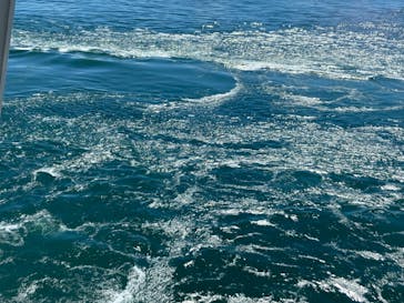 徳島県立 渦の道に投稿された画像（2023/8/5）