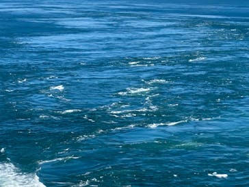 徳島県立 渦の道に投稿された画像（2023/8/5）