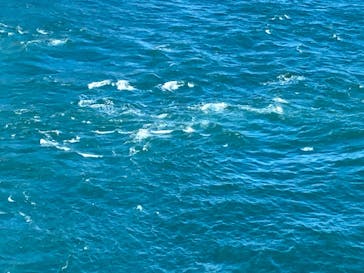 徳島県立 渦の道に投稿された画像（2023/8/5）