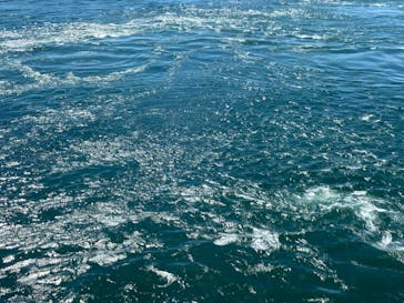 徳島県立 渦の道に投稿された画像（2023/8/5）