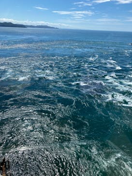 徳島県立 渦の道に投稿された画像（2023/8/5）