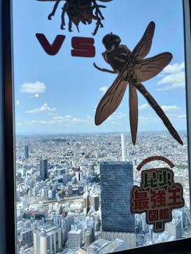 昆虫最強王図鑑展に投稿された画像（2023/8/5）