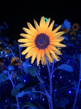 せんだい農業園芸センター　みどりの杜に投稿された画像（2023/8/5）