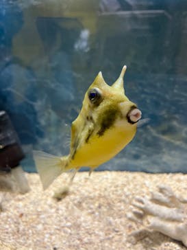 ぶっとんでるいきもの展に投稿された画像（2023/8/5）