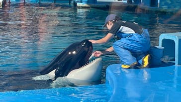 名古屋港水族館に投稿された画像（2023/8/5）