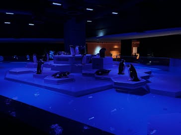 AOAO SAPPOROに投稿された画像（2023/8/5）