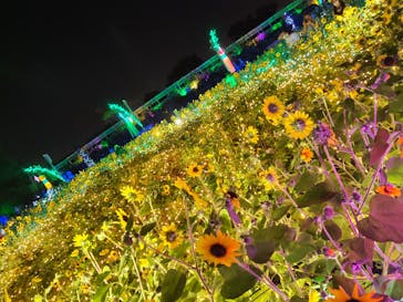 せんだい農業園芸センター　みどりの杜に投稿された画像（2023/8/5）